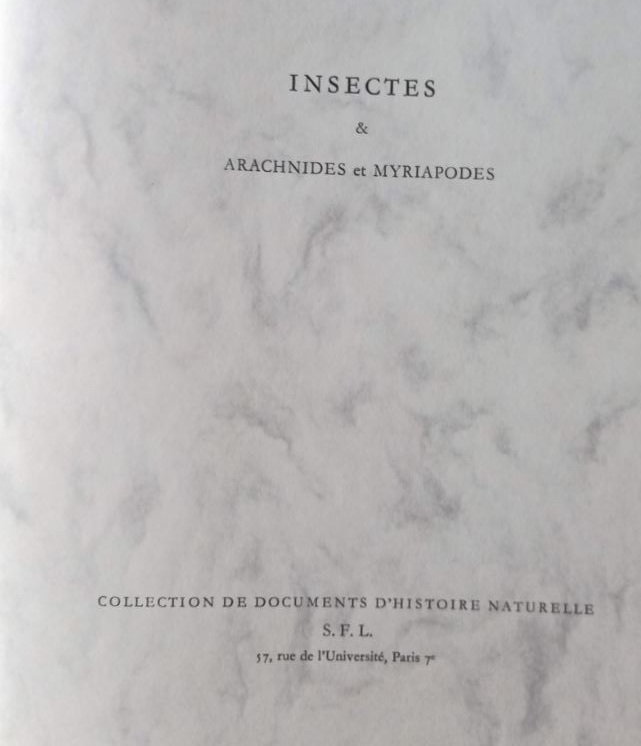 insectes 1