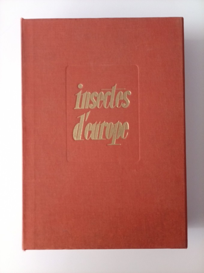 insectes 2